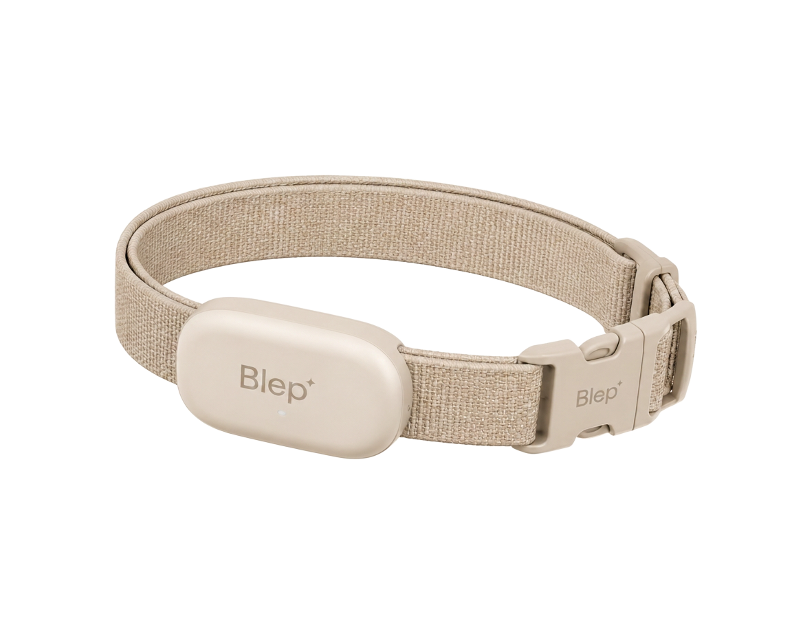 Dune Blep collar